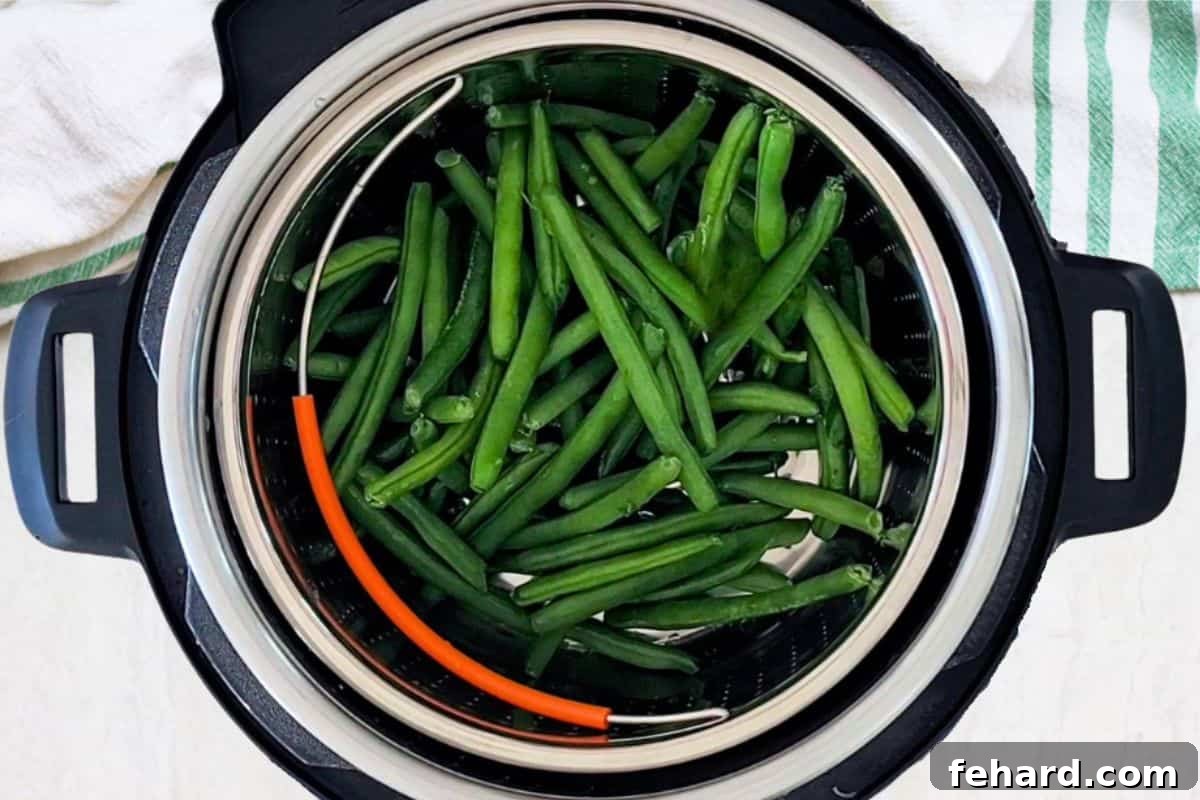 Perfect Steamed Green Beans Fresh green beans neatly arranged in a steamer basket, ready to be cooked inside a pressure cooker.