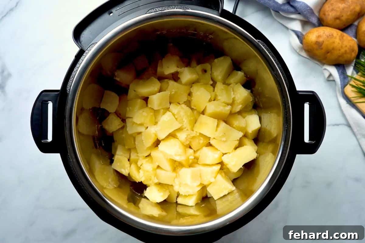 Pressure cooked potatoes inside inner pot before mashing, ready for draining.