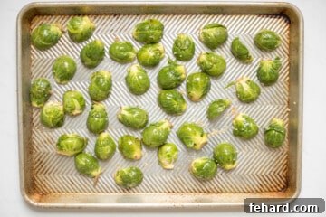 Seasoned halved fresh brussels sprouts on sheet pan spread out.