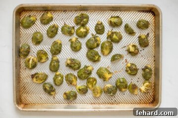 Roasted halved fresh brussels sprouts on sheet pan spread out.