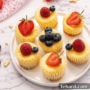 Mini Muffin tin cheesecakes on white platter topped with fresh berries