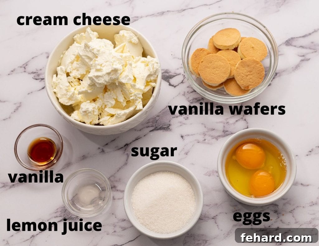 A flat lay of fresh ingredients for mini cheesecakes, including a block of cream cheese, granulated sugar, vanilla extract, a lemon, eggs, and a box of vanilla wafers, all perfectly arranged.