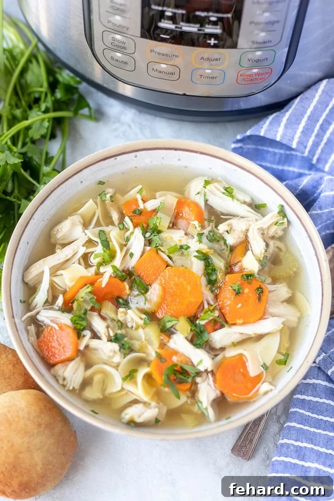 Bowl of hot Instant Pot Chicken Noodle Soup next to an Instant Pot. The soup contains tender chicken, egg noodles, carrots, and celery.
