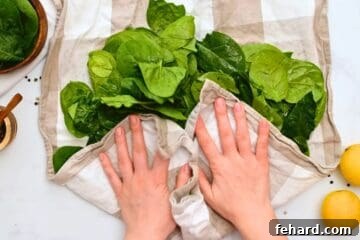 Fresh spinach on clean kitchen towel being patted dry.