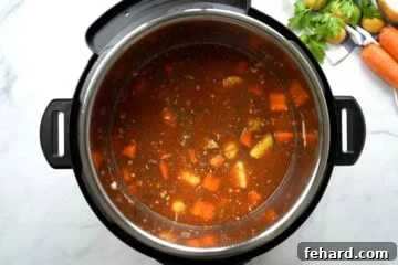 Ingredients for instant pot beef stew inside inner pot before pressure cooking stew.