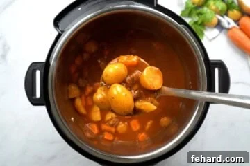 Ladle scooping out beef stew from instant pot.