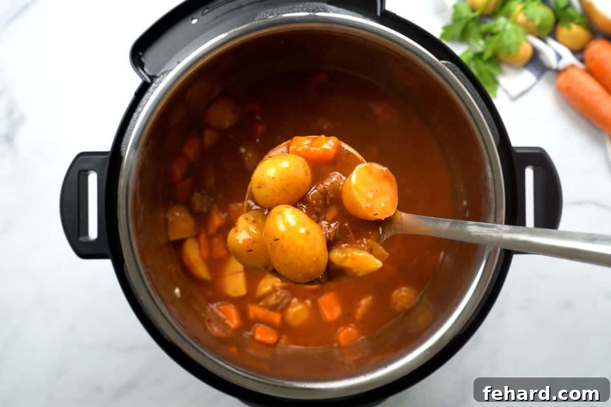 A ladle scooping out thick, rich beef stew from the Instant Pot, showing the hearty chunks of beef and vegetables.