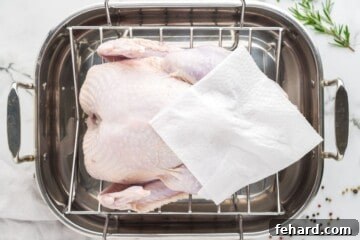 Effortless Turkey Brine for a Juicier Bird 7 Turkey in roasting pan showing plotting with paper towel to remove excess moisture.