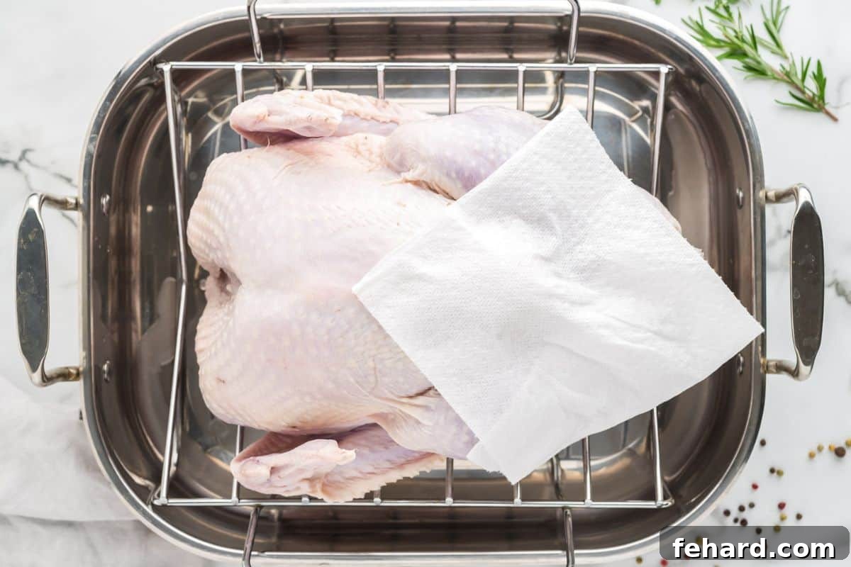 Brined Turkey Turkey in roasting pan showing plotting with paper towel to remove excess moisture from wet brine.
