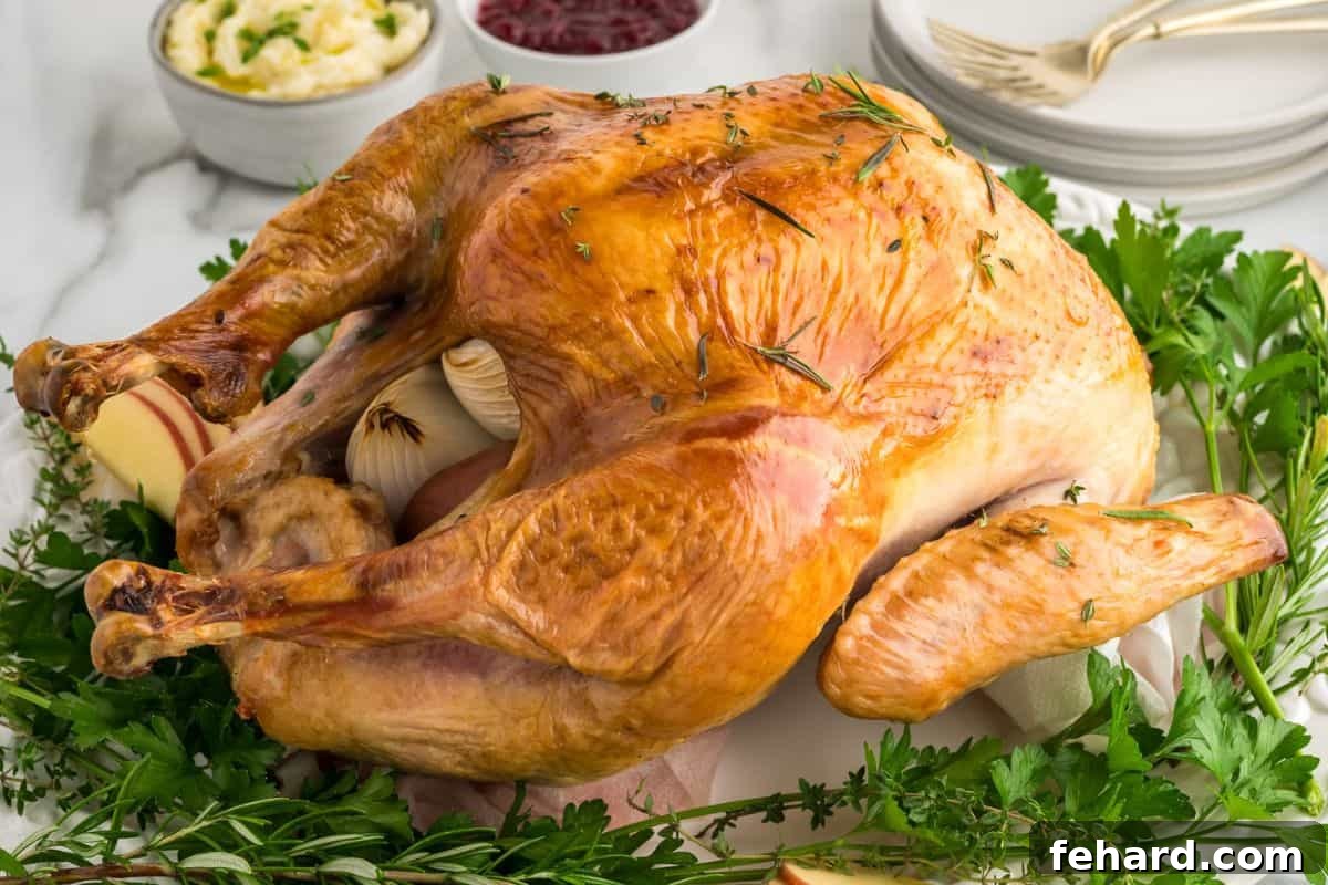 How to Brine a Turkey Roasted turkey on white platter served with fresh apple slices on a bed of fresh herbs with mashed potatoes and cranberry sauce in background.