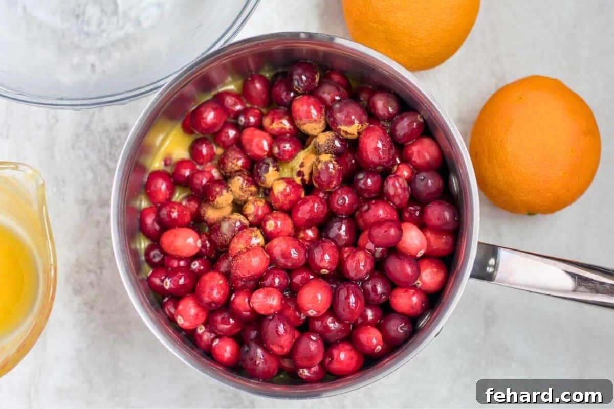 Fresh cranberries, orange juice concentrate, orange zest, cinnamon, and nutmeg artfully arranged in a small saucepan before cooking.