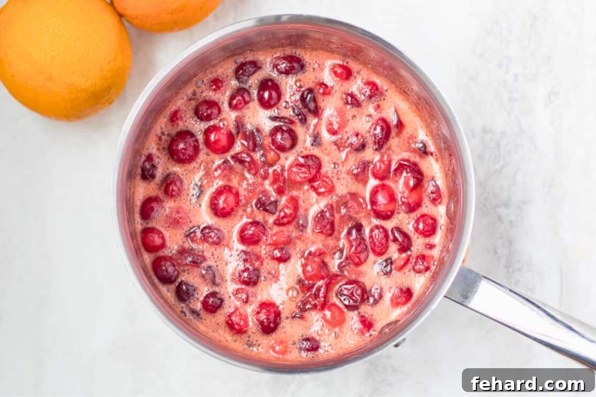 Fresh cranberries, orange juice concentrate, orange zest, cinnamon, and nutmeg gently simmering in a small saucepan, cranberries visibly bursting.