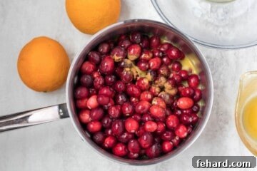 Ingredients for cranberry sauce with cinnamon and orange zest in saucepan.