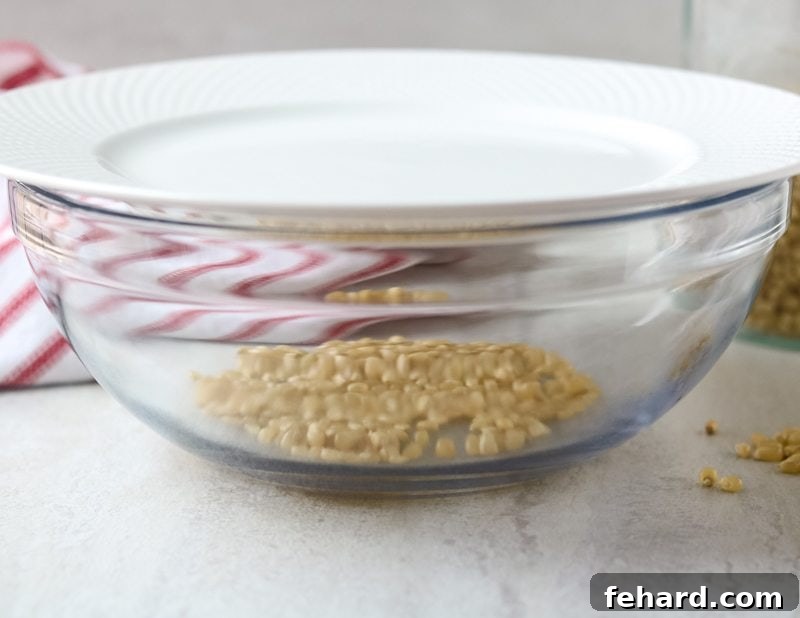 Popcorn kernels in a glass bowl with a plate on top, ready for the microwave.