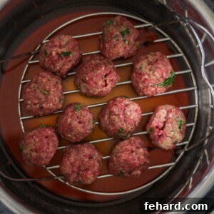 Effortless Instant Pot Meatballs 4 Uncooked meatballs in pressure cooker on trivet.