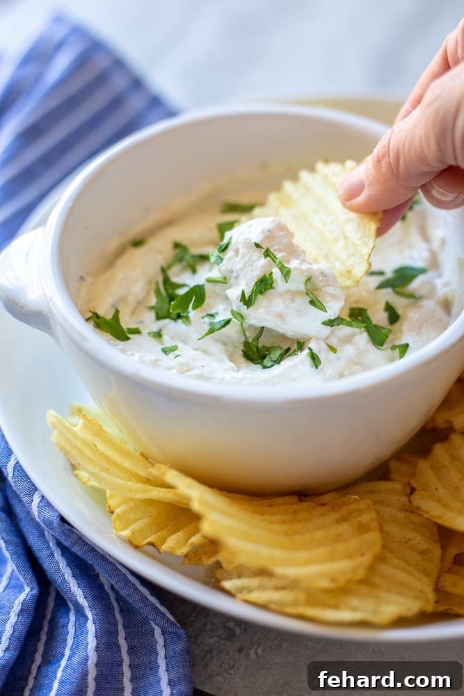 Homemade French Onion Chip Dip Recipe Crispy potato chip being dipped into creamy homemade French onion chip dip, highlighting its irresistible texture and rich flavor.