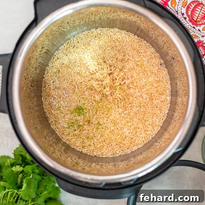 Brown rice topped with lime zest in the Instant Pot before cooking.