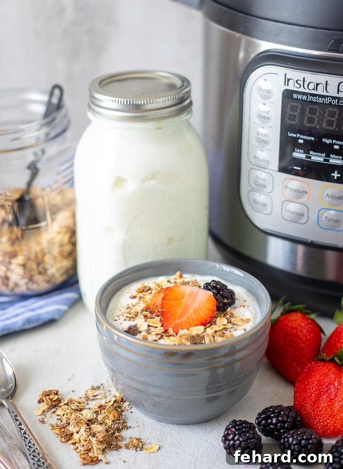 Container of Cold Start Yogurt next to Instant Pot and Bowl of Yogurt topped with granola