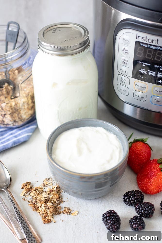 Bowl of cold start yogurt next to granola and pressure cooker