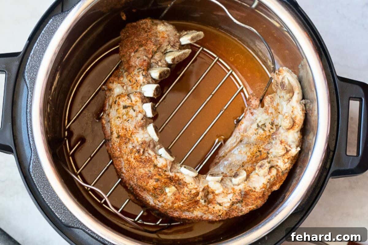 Seasoned baby back ribs on trivet over apple juice after being pressure cooked inside instant pot.