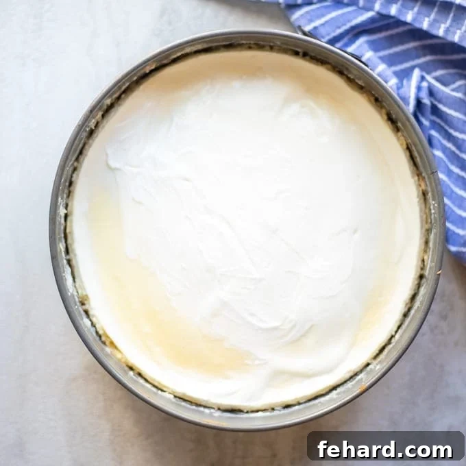 Family Cheesecake Recipe Baked A perfectly baked cheesecake in a springform pan, showing its golden-brown crust and smooth surface.