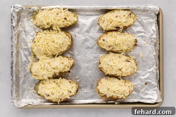 Eight halves of baked potatoes, filled with potato mixture and topped with shredded white cheddar cheese on a baking sheet.