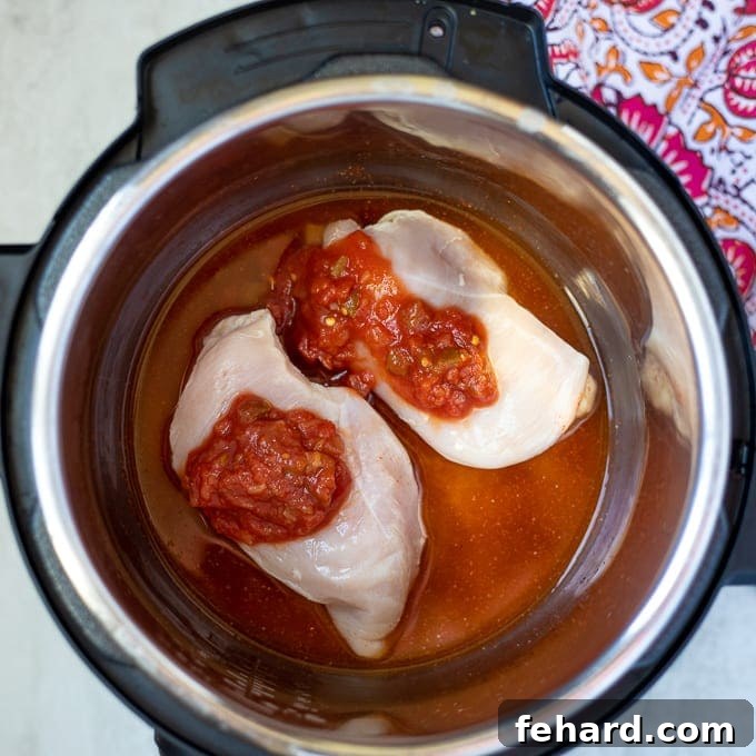 Chicken in pressure cooker with taco seasoning and salsa layered on top, before cooking.
