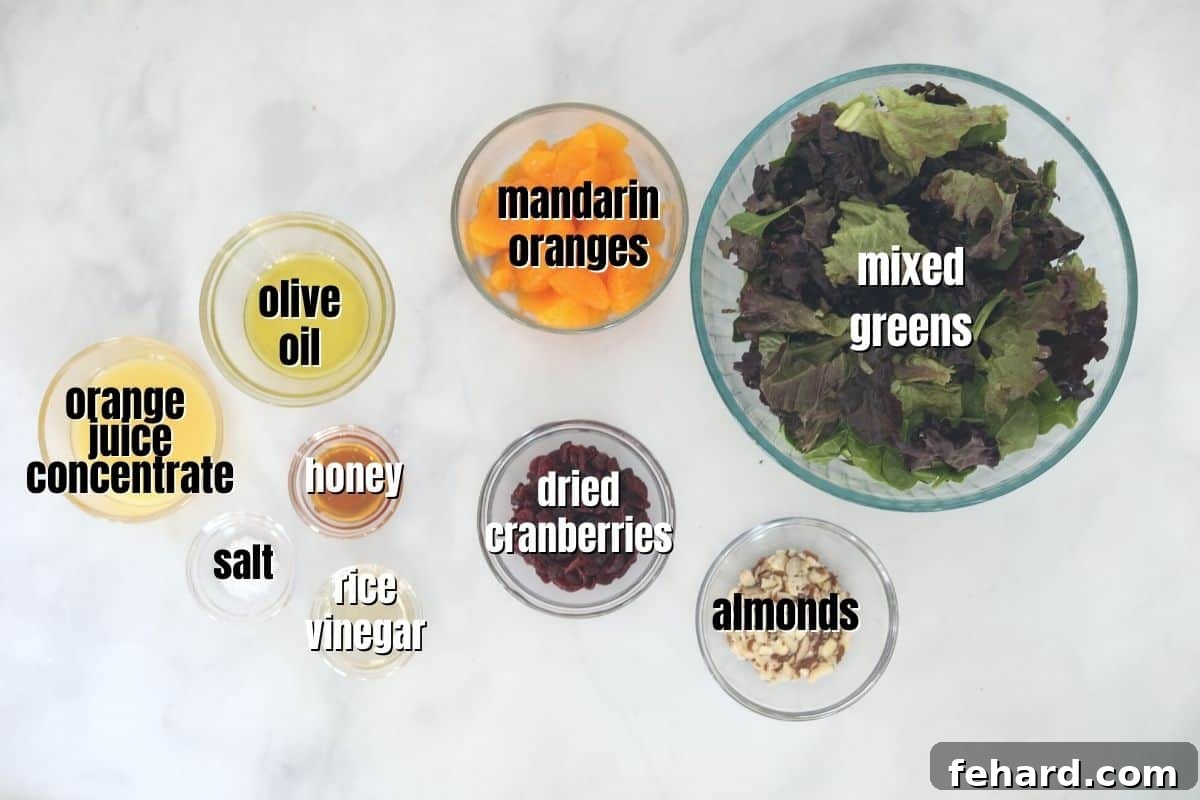 Labeled ingredients for Mandarin Orange Salad laid out on a kitchen counter, including greens, mandarin oranges, cranberries, almonds, and dressing components.