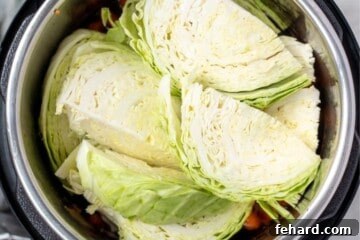 Potatoes, cabbage, and corn layered inside instant pot.