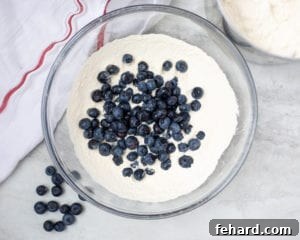 Blueberry Pancake Dry Ingredients in Mixing Bowl