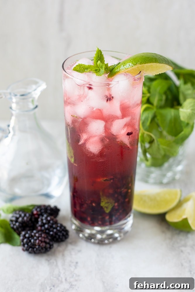 Blackberry Mojito in clear glass with limes and mint.