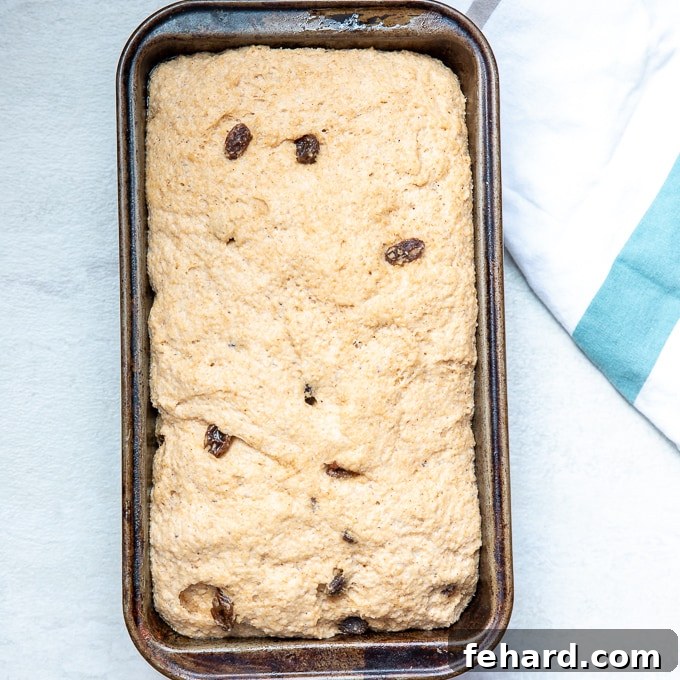 Cinnamon Raisin Bread for Breadmaker Cinnamon Raisin Bread Dough after rise in loaf pan