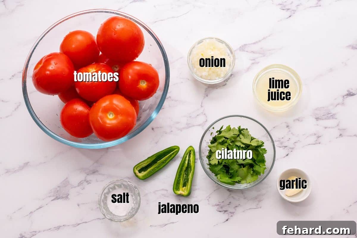 Speedy Blender Salsa 4 Fresh ingredients for blender salsa laid out on a kitchen counter, ready for preparation.
