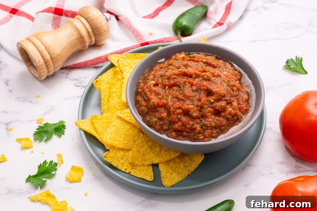 Speedy Blender Salsa 8 Bowl of fresh homemade salsa surrounded by tortilla chips, fresh tomatoes, and cilantro sprigs.