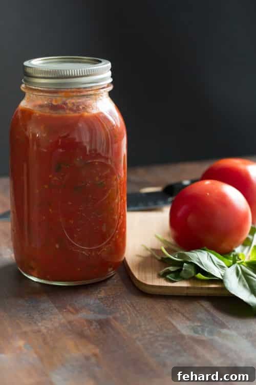 The Secret to Perfect Homemade Tomato Sauce 16 An older image of Basic Tomato Sauce, a nostalgic look back at the recipe's origins.