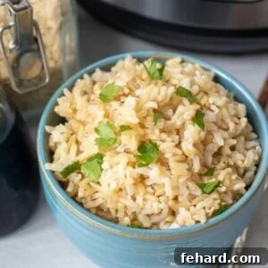 Bowl of Brown Rice in blue bowl.