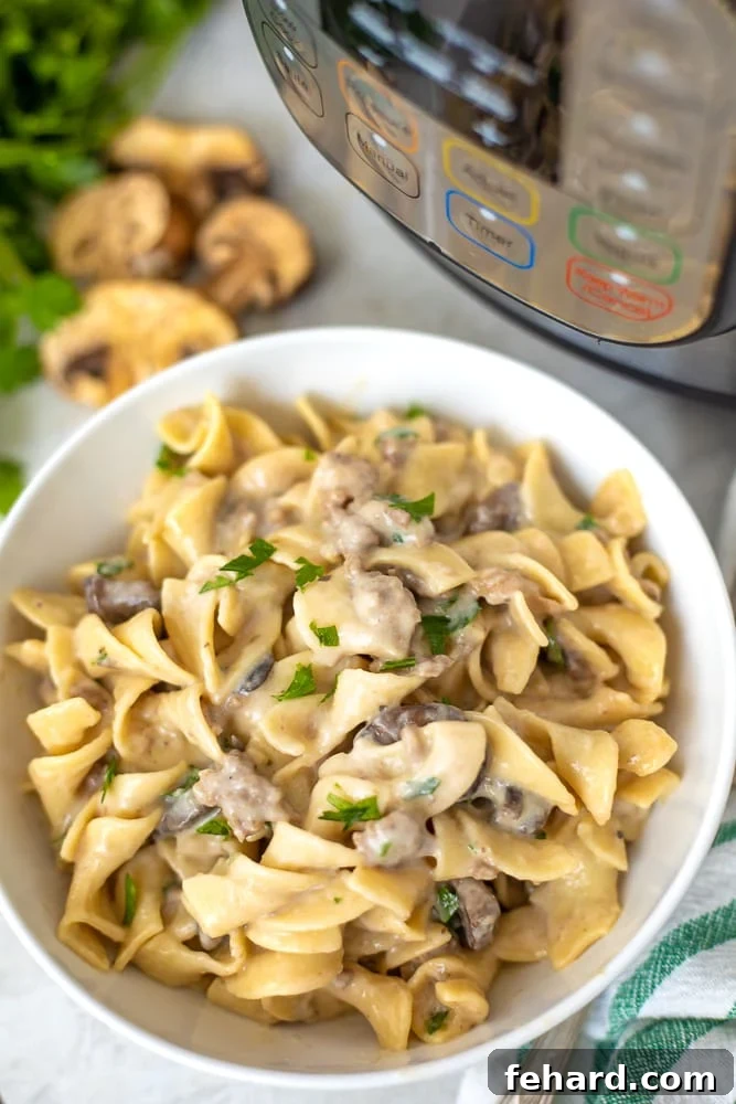Instant Pot Stroganoff A hearty bowl of Instant Pot Beef Stroganoff, served alongside the Instant Pot and fresh cremini mushrooms, ready to be enjoyed.