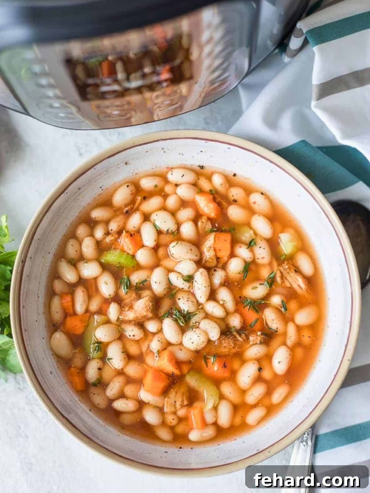 Bowl of Ham and Bean Soup made with dried beans and leftover ham bone next to Instant Pot.
