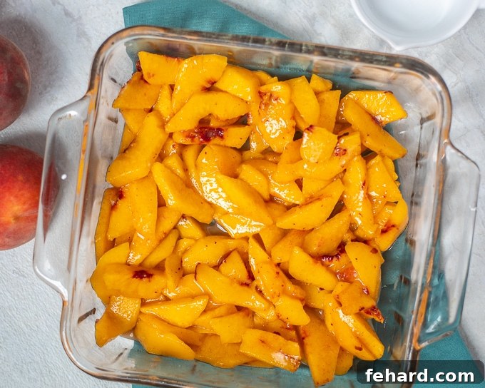 Fresh Peaches in baking dish with sugar and cinnamon for peach cobbler. 