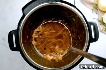 Ladle of onion soup coming out of inner pot.