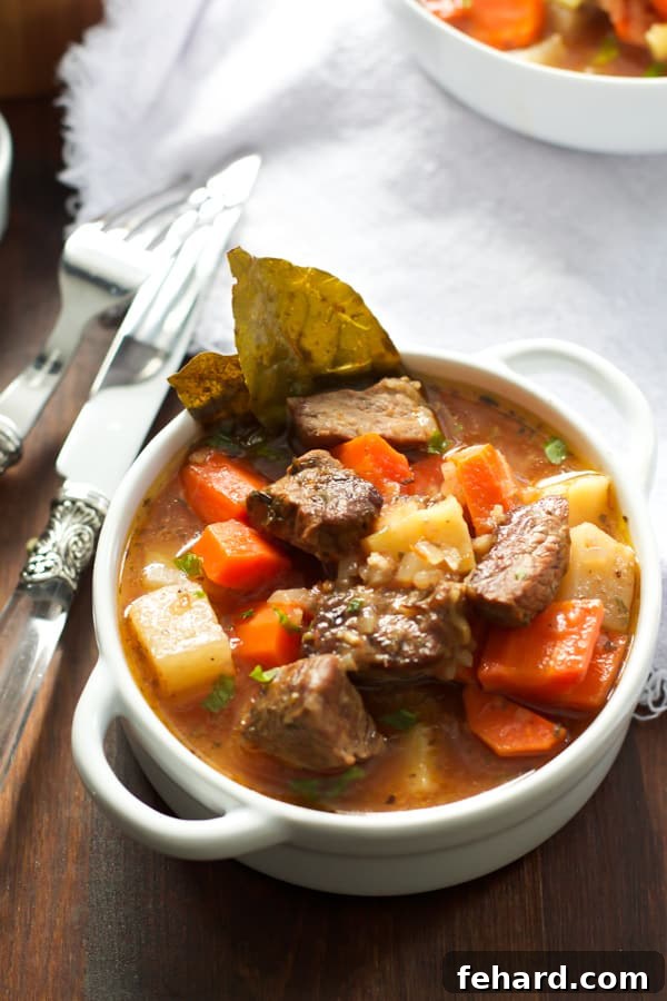 A top-down view of a hearty bowl of beef stew, showing chunks of beef and vibrant vegetables.