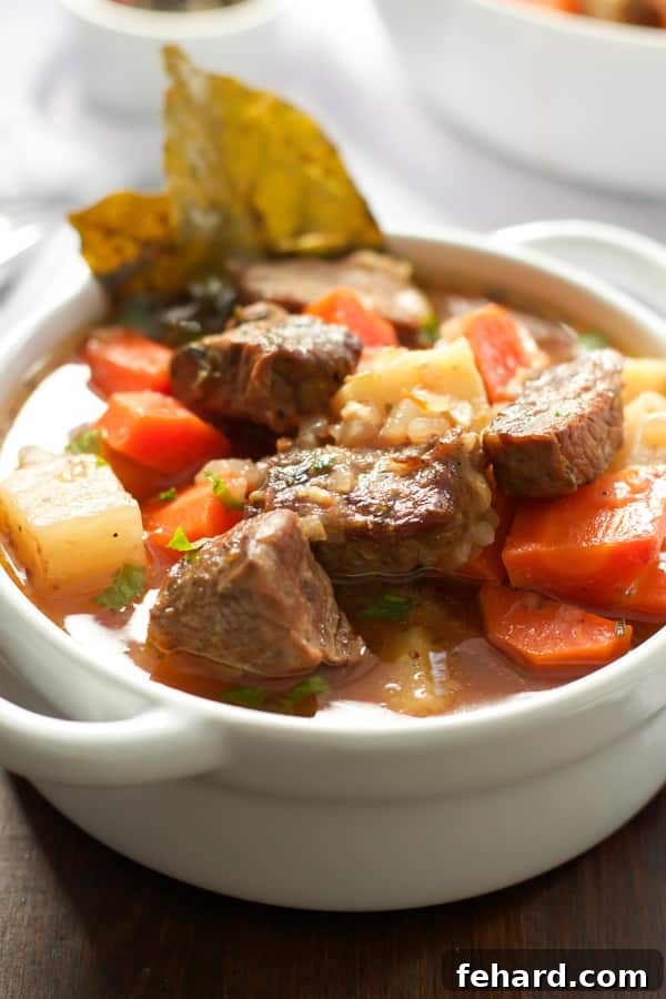 Close up of a bowl of stew, highlighting the tender beef and chunky vegetables.