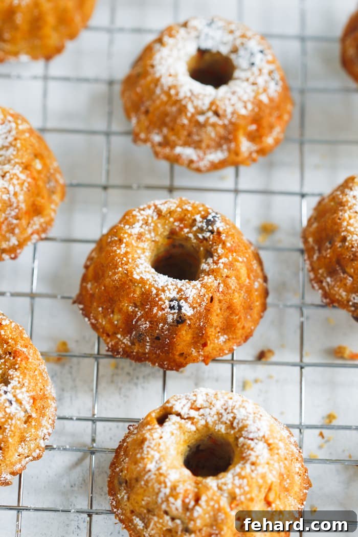 Soğutma Teli Üzerinde Taze Pişmiş Mini Havuçlu Bundt Kekler