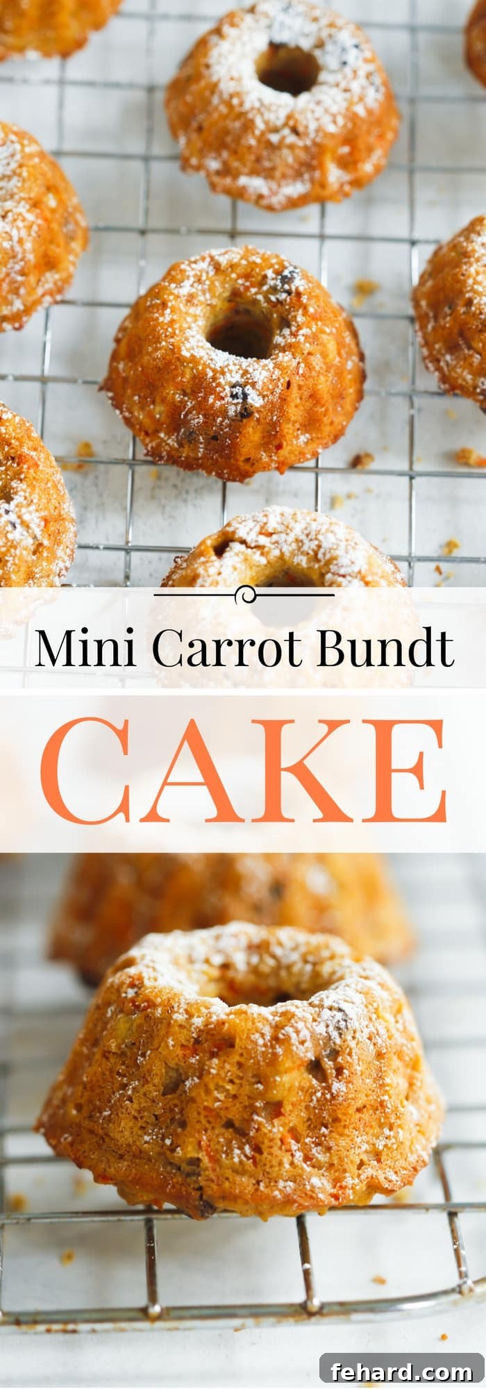 Yakın Çekim Lezzetli Sağlıklı Havuçlu Kek Mini Bundt