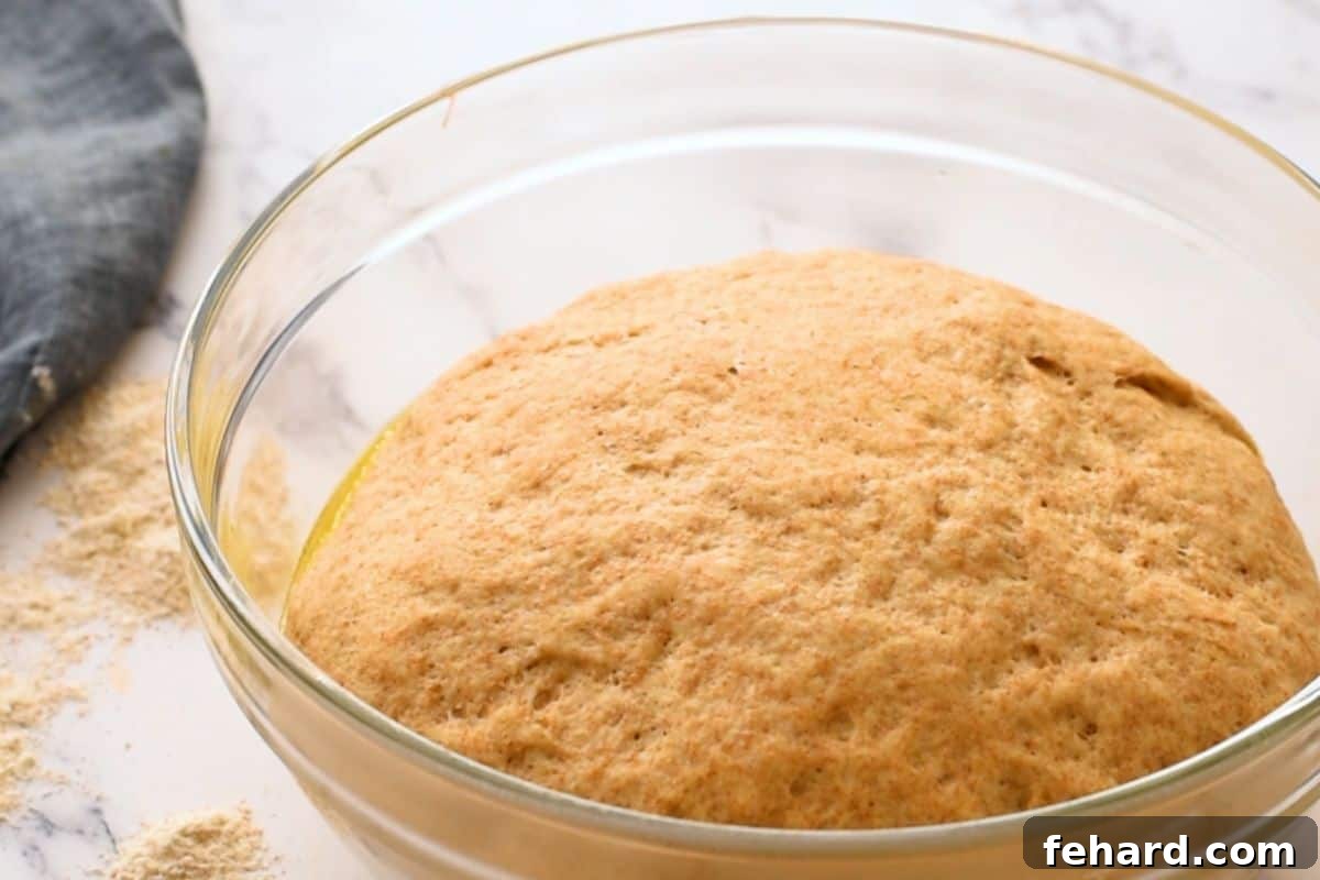 Bread dough visibly doubled in size in a glass mixing bowl, after its first rise.