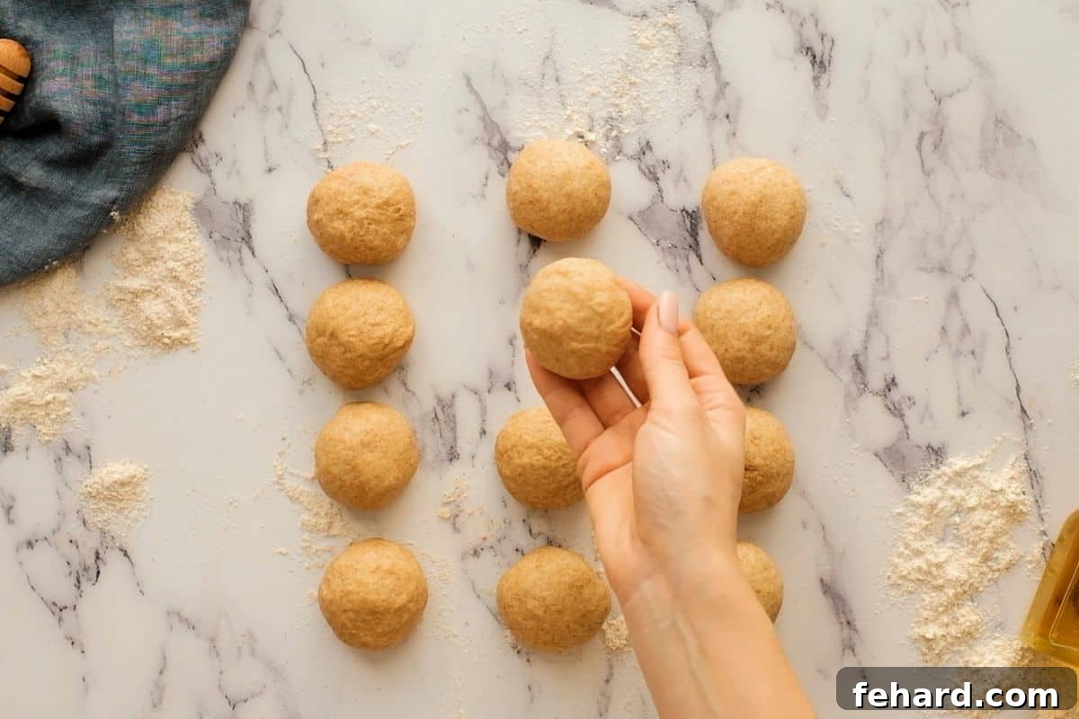 12 perfectly formed dough balls from the whole wheat dough recipe, ready for their second rise.