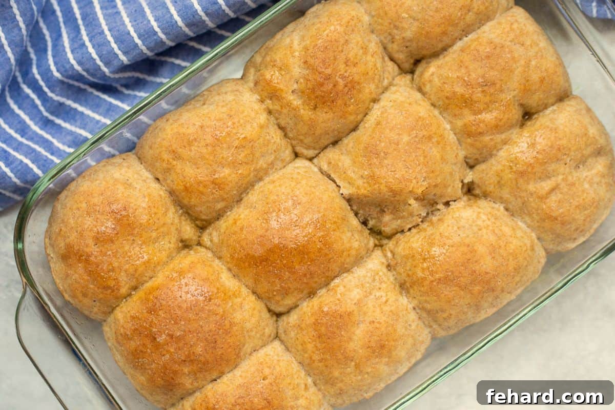 Baked Whole Wheat Rolls in a glass baking dish, golden and inviting.