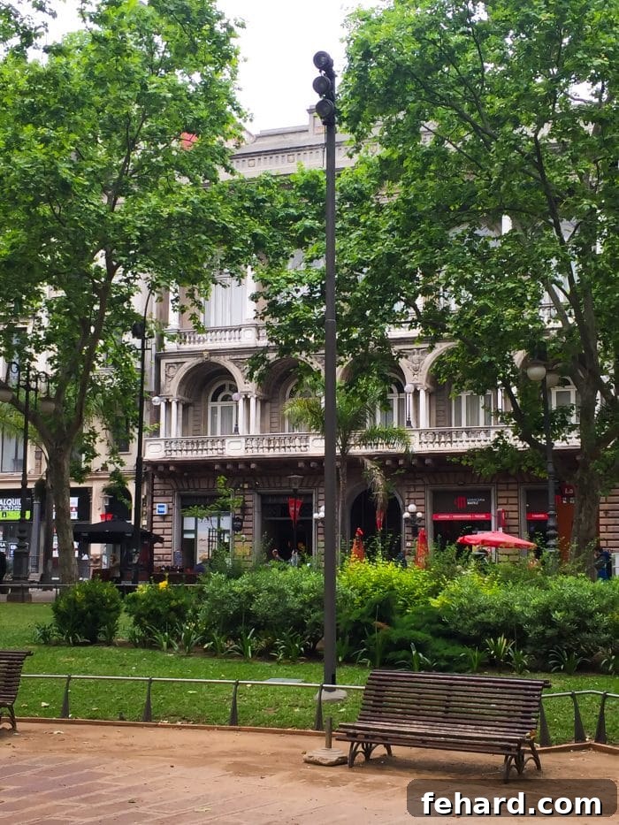 Exploring the charming architecture and tree-lined streets of Montevideo.