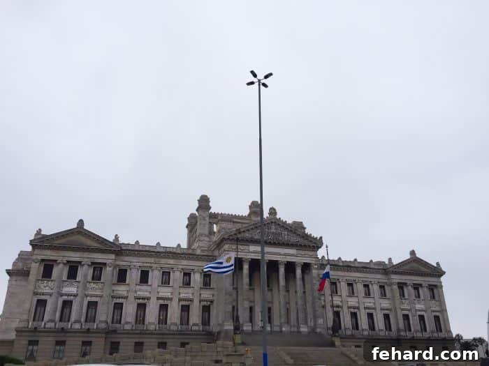 A vibrant snapshot of daily life unfolding in the heart of Montevideo.