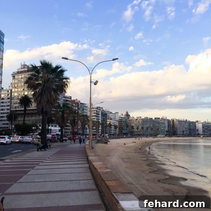 The stunning Montevideo waterfront at sunset, a perfect ending to a day.